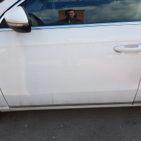 Передняя левая дверь