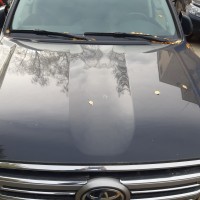 Фото транспортного средства