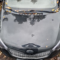 Фото транспортного средства