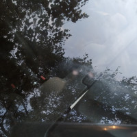 Ветровое стекло