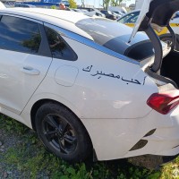 Заднее левое крыло