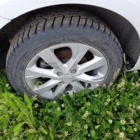 Фото транспортного средства