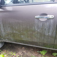 Передняя левая дверь