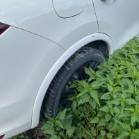 Заднее правое крыло