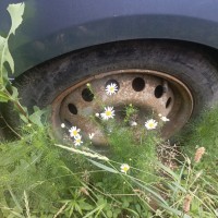 Фото транспортного средства