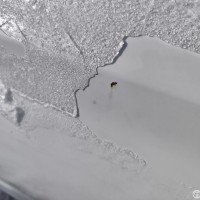 Задняя левая дверь