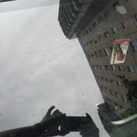 Ветровое стекло