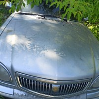 Фото транспортного средства