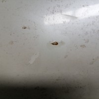 Задняя правая дверь