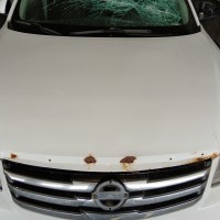 Фото транспортного средства