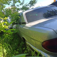 Фото транспортного средства