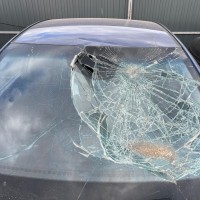 Ветровое стекло