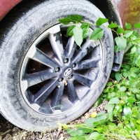 Фото транспортного средства