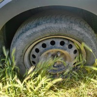 Фото транспортного средства