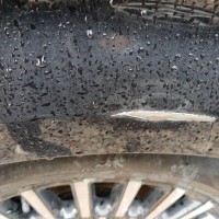Заднее правое крыло