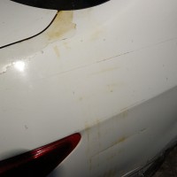 Заднее правое крыло