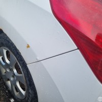 Заднее левое крыло