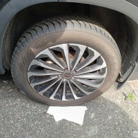 Фото транспортного средства