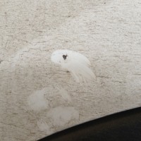 Задняя левая дверь