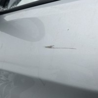 Передняя левая дверь