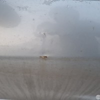 Передняя левая дверь