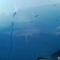 Передняя левая дверь