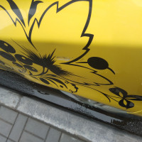 Заднее левое крыло