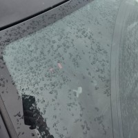 Ветровое стекло