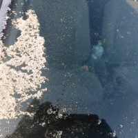 Ветровое стекло