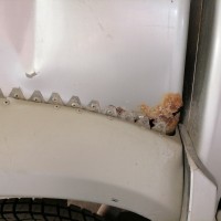 Заднее правое крыло