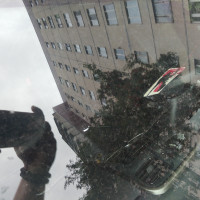 Ветровое стекло