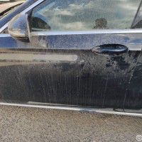 Передняя левая дверь