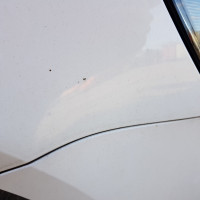 Переднее правое крыло