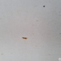 Задняя левая дверь