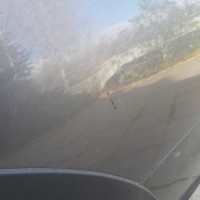 Заднее левое крыло