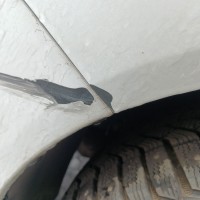 Заднее правое крыло