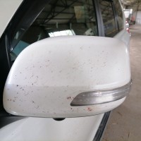 Левое дверное зеркало