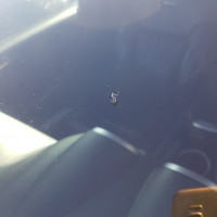 Ветровое стекло