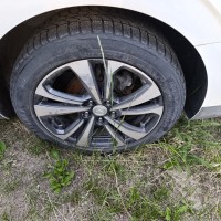 Фото транспортного средства