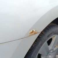 Заднее правое крыло