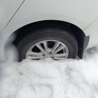 Фото транспортного средства
