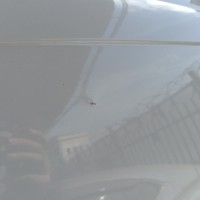 Заднее левое крыло