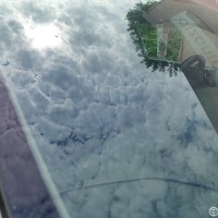 Ветровое стекло