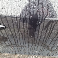 Передняя правая дверь