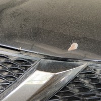 Капот