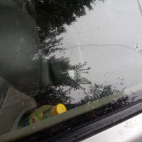 Ветровое стекло