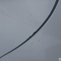 Задняя левая дверь