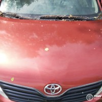 Фото транспортного средства