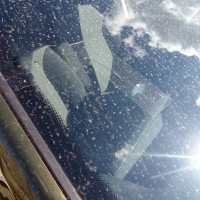 Ветровое стекло