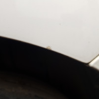 Заднее левое крыло